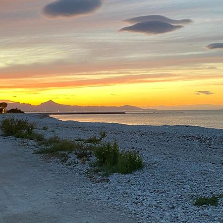 Pepe Villa Denia Bagian luar foto
